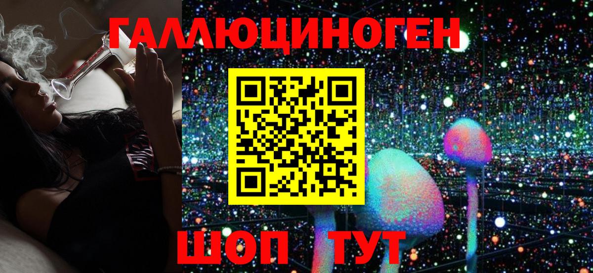 Псилоцибиновые грибы MAGIC MUSHROOMS  Вход с VPN  Свободный 